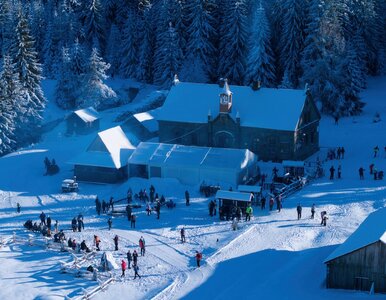 Miniatura: Afera w polskim schronisku górskim. Tak...