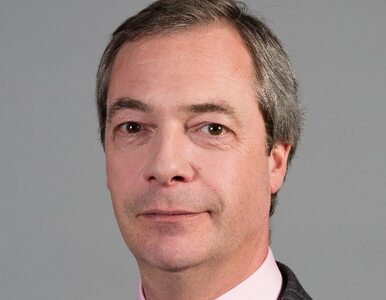 Miniatura: Okręgi jednomandatowe pogrążyły Farage'a