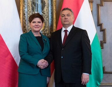 Miniatura: Spotkanie Orban-Szydło. Będzie wspólne...