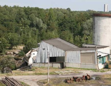 Miniatura: Katastrofa budowlana w kopalni "Szczygłowice"
