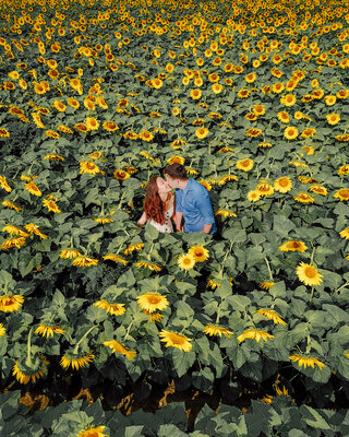 Miniatura: Instagramowicze szturmują pole...