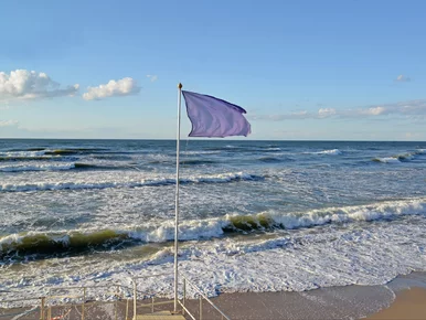 Miniatura: Widzisz fioletową flagę na plaży nad...