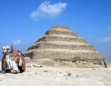 Miniatura: Polscy archeolodzy odkryli kilkadziesiąt...