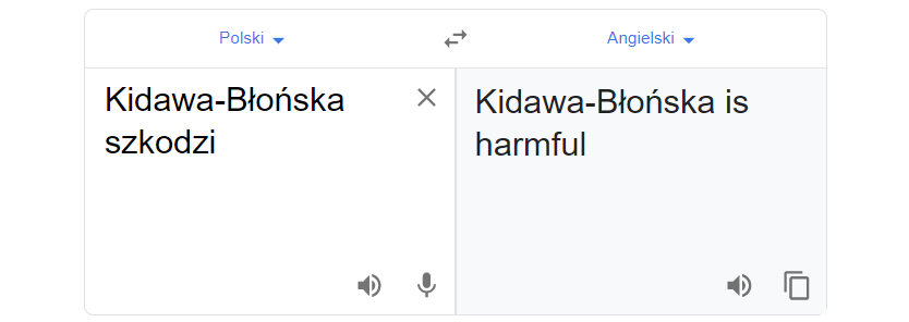 Tłumacz Google i fraza „Kidawa-Błońska szkodzi” 