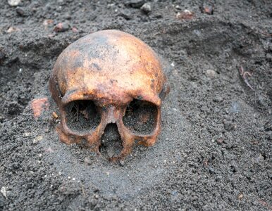 Miniatura: Małopolska. 12-latka pochowana z czaszką...