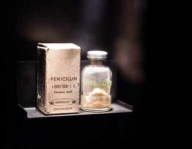 Miniatura: QUIZ. Te wynalazki zmieniły świat. Wiesz,...