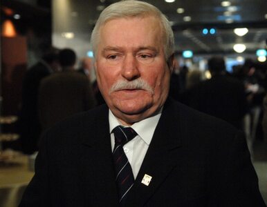 Miniatura: Palikot do Wałęsy: zapal jointa