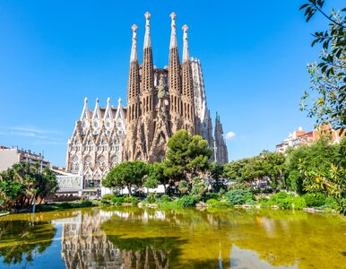 Miniatura: Europejska perła zdewastowana. Aktywiści...