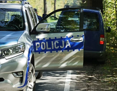 Miniatura: 3,5-latek błąkał się po ulicach...