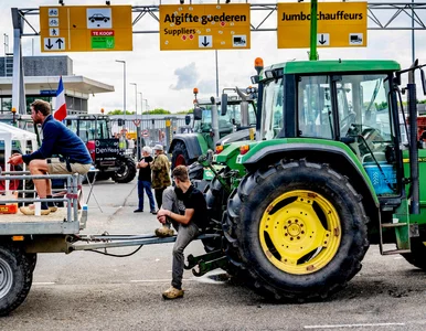 Miniatura: Bolesne skutki protestu rolników. Półki w...