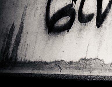 Miniatura: Kraków: do 5 lat więzienia za "ścieżkę...