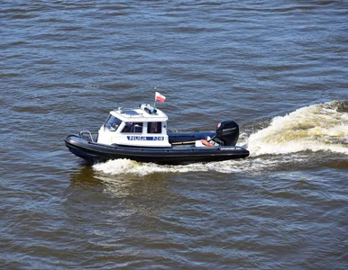 Miniatura: Profesor z UMK: Odra i Wisła do Górnego...