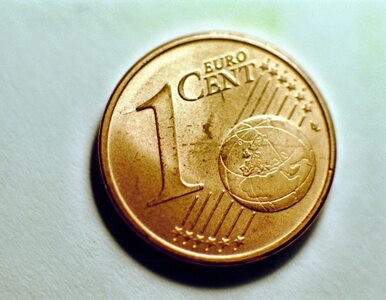 Miniatura: Prezydent chce Polski w strefie euro