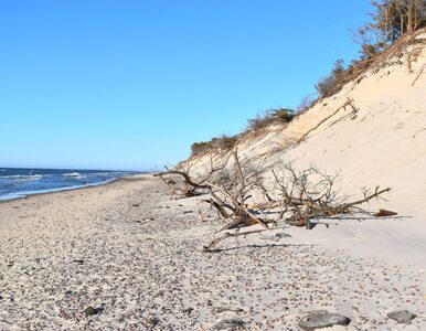 Miniatura: Nawet w sezonie są puste. 5 dzikich plaż...