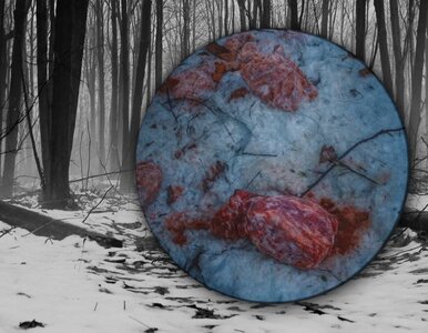 Miniatura: Szokujące znalezisko w lesie. „Głupota i...