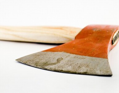 Miniatura: Nie mógł grać na komputerze. Zaatakował...