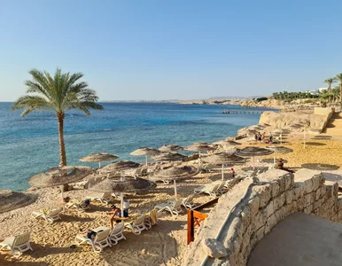 Miniatura: Tutaj w marcu będzie nawet 29 stopni. Last...