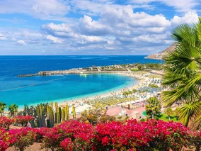 Miniatura: Słoneczny hit na polskim lotnisku. Nowy...