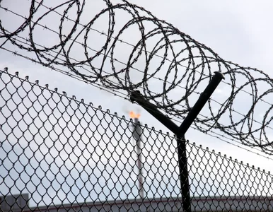 Miniatura: Pedofil może pracować poza więzieniem?...