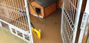 Schronisko dla zwierząt „Czekadełko” 