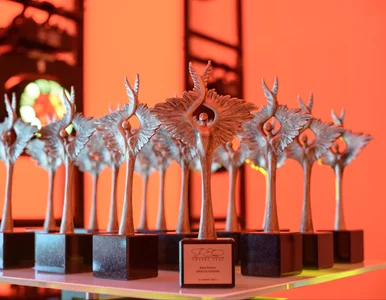 Miniatura: ShEO Awards 2023 już dzisiaj! Wszystko, co...