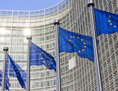 Miniatura: Komisja Europejska zakwestionowała flagowy...