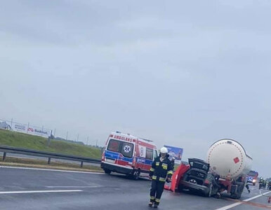 Miniatura: Tragiczny wypadek na A1, cysterna zderzyła...