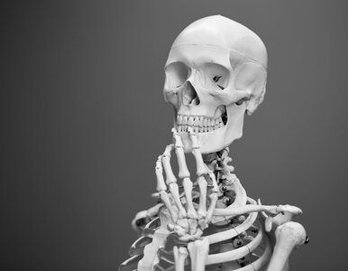 Miniatura: QUIZ. Prosty QUIZ z anatomii. Jeśli tego...