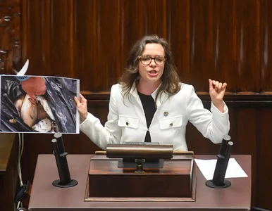 Miniatura: Spięcie w Sejmie po wystąpieniu Klaudii...