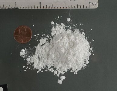 Miniatura: Wyrok za próbę przemytu tony kokainy...