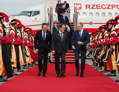 Miniatura: Donald Tusk powitany na czerwonym dywanie....