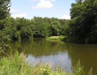 Miniatura: Belg przyjechał podróżować po Polsce, bo...