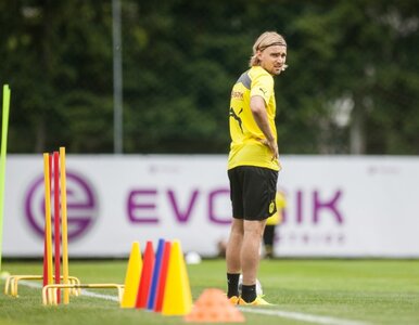 Miniatura: Schmelzer nabawił się kontuzji, bo......