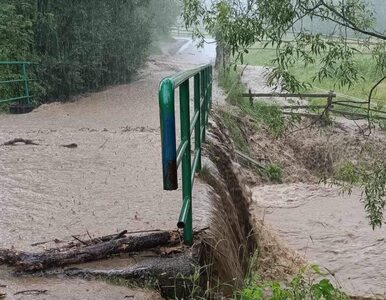 Miniatura: Powódź błyskawiczna w Zakopanem. Zalane...