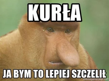Mem po meczu Polski z Węgrami 