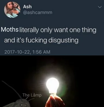Mem z ćmą 