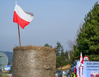 Miniatura: Polscy rolnicy stanęli przed dylematem....