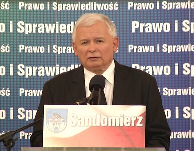 Miniatura: Kaczyński: Nie rozważam kandydowania na...