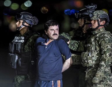 Miniatura: Szokujące ustalenie śledczych. El Chapo...