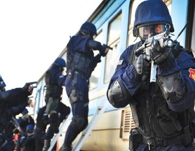 Miniatura: Czarnogórscy policjanci aresztowali 20...