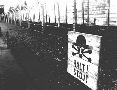 Miniatura: "Polskie obozy koncentracyjne" w...