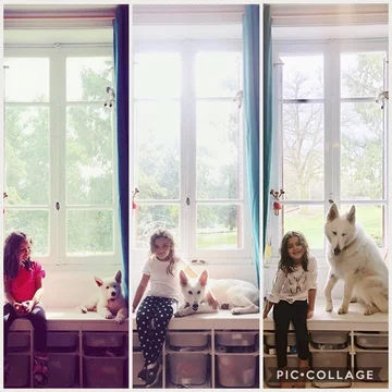 Właściciele pokazują jak urosły ich zwierzęta 