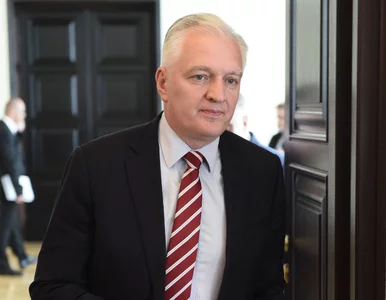Miniatura: Gowin dystansuje się od rządu? "To rodzaj...