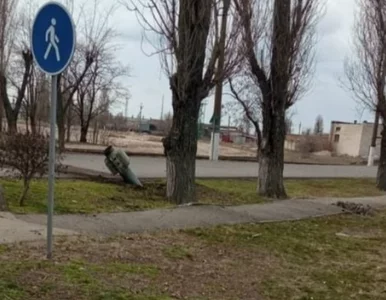 Miniatura: Wojna na Ukrainie. Wojska rosyjskie...