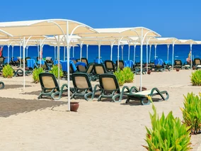 Miniatura: Tutaj już teraz poczujesz ciepłą wiosnę....