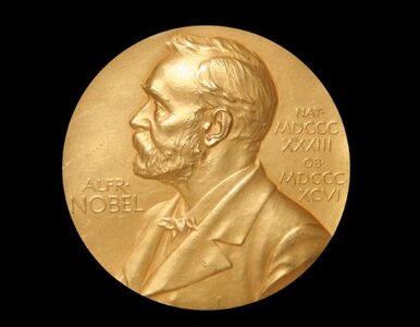 Miniatura: Ekonomiczny Nobel za model analizy rynkowej