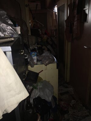 Miniatura: Warunki, w jakich konał pies Nero