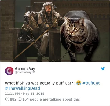 Buff cat w serialu "Walking Dead" 