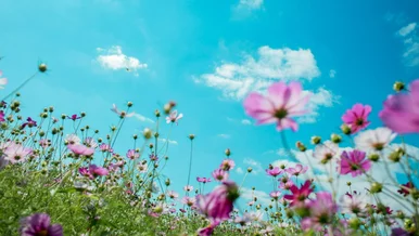 Miniatura: Długoterminowa prognoza dla Polski. Taki...