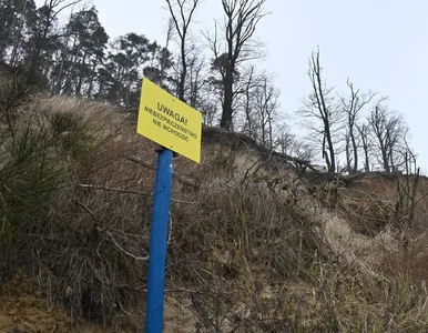 Miniatura: Istnienie Klifu Orłowskiego w Gdyni wisi...